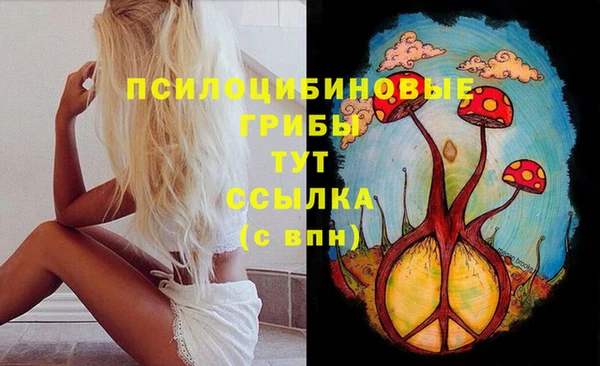 синтетический гашиш Надым