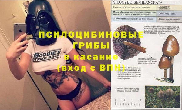 спиды Михайлов