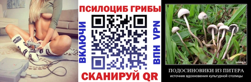 Галлюциногенные грибы Psilocybine cubensis Орлов
