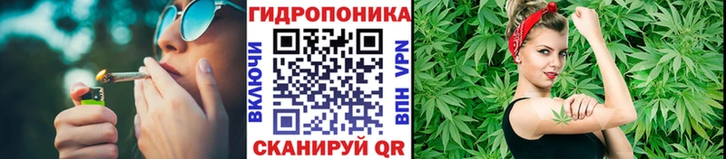 купить наркоту  Орлов  Канабис планчик 